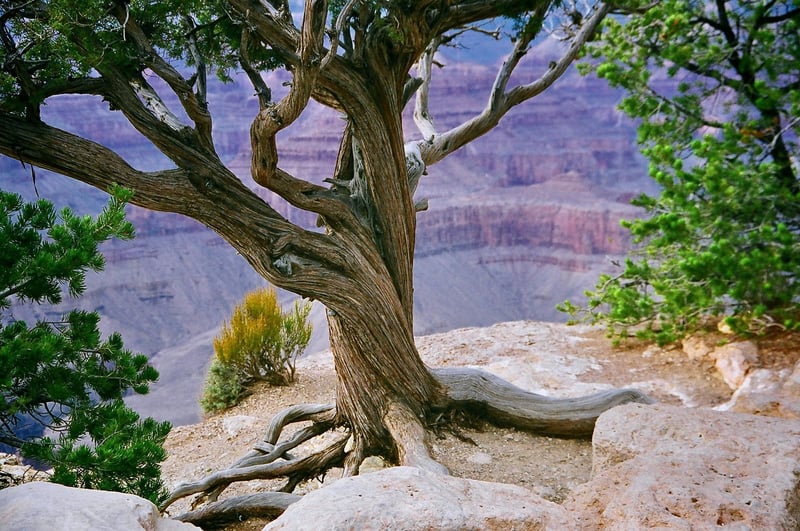 Grand Canyon Sunset